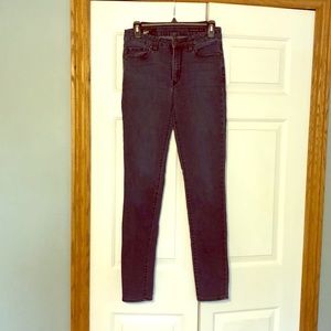 William Rast Riley High Rise Skinny Stretch Jean